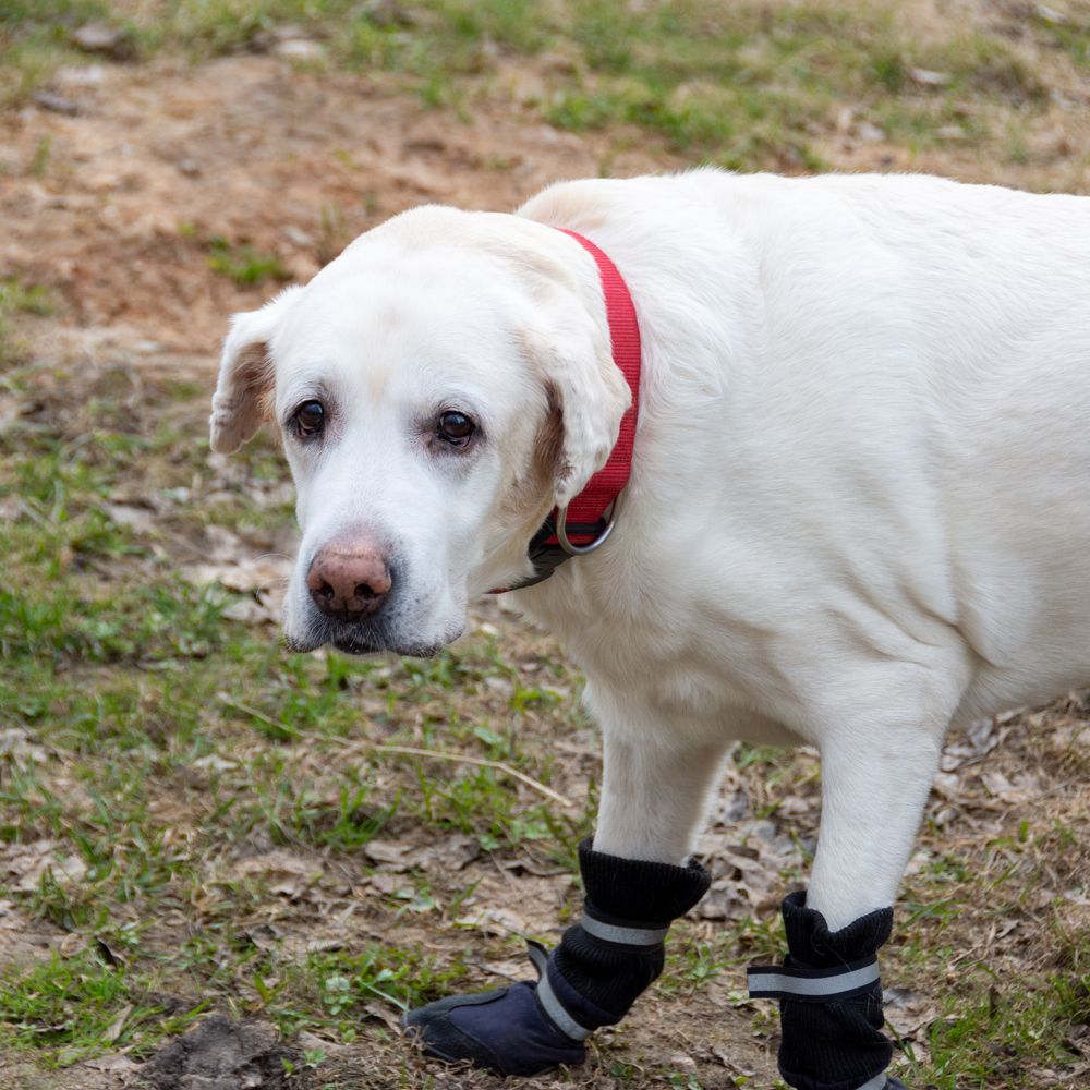 Photograph by Валерий Петухов