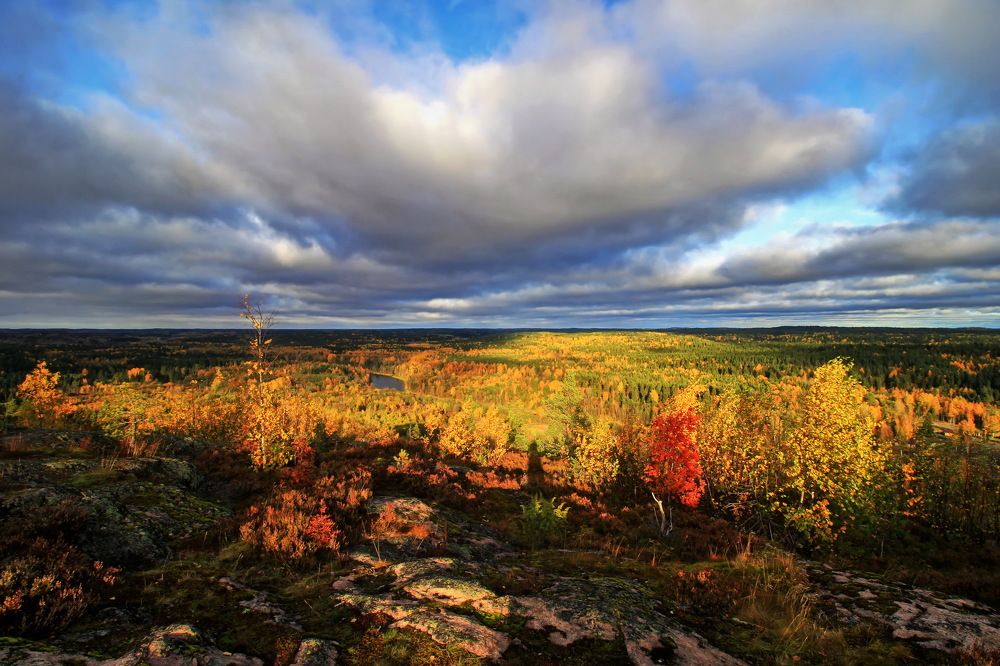 Photograph by Староверов Станислав