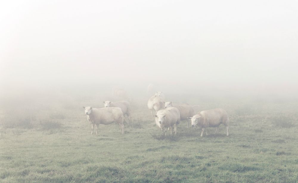 Photograph by Taтьяна Войлокова