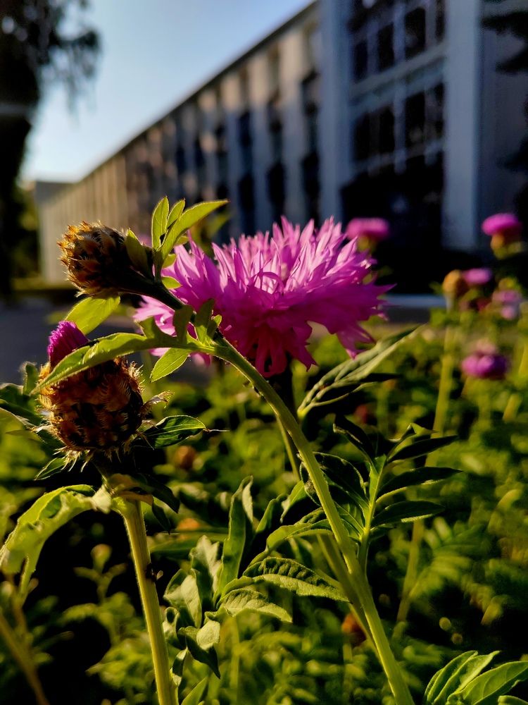 Фотография автора Anna Tsybulskaya