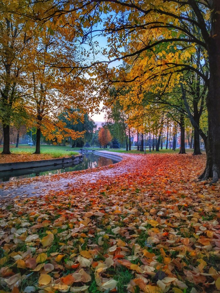 Photograph by Владимир Шаруба