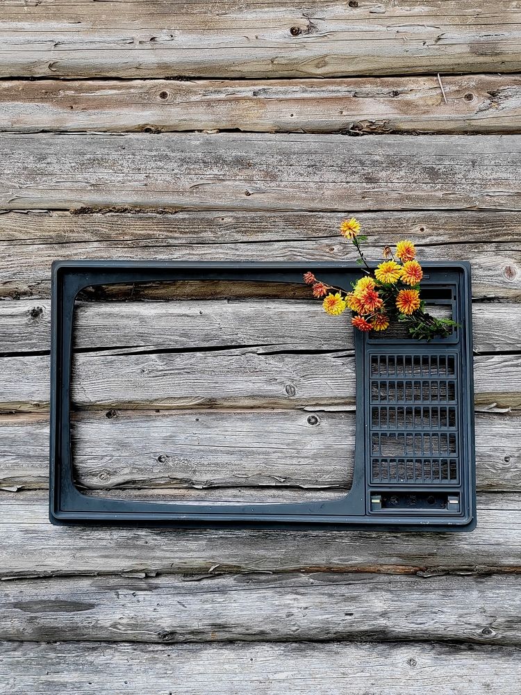 Фотография автора Anna Tsybulskaya