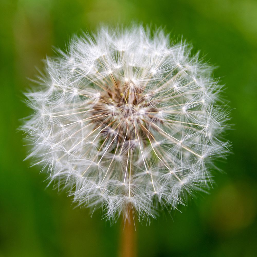 Photograph by Валерий Петухов