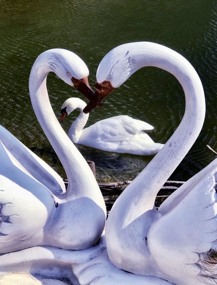 Photograph by Наталья Перерва