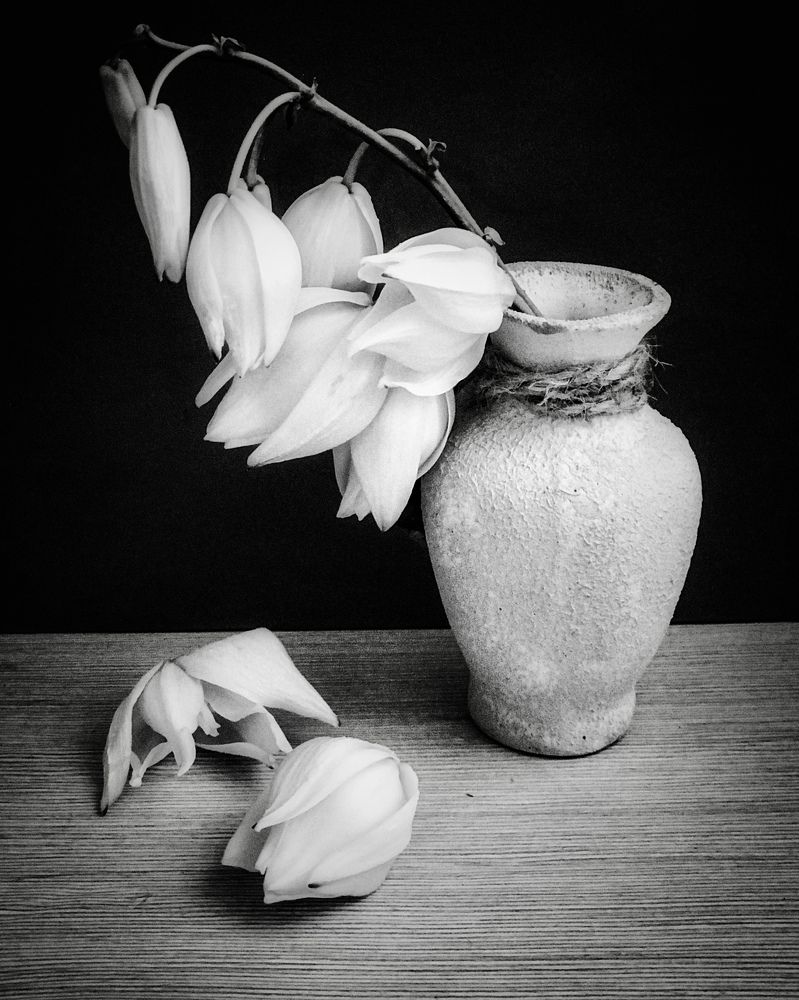 Photograph by Наталья Перерва