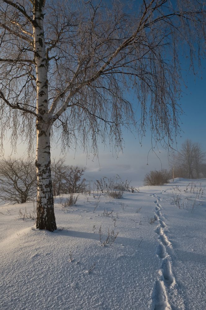 Photograph by Albina Kulikova