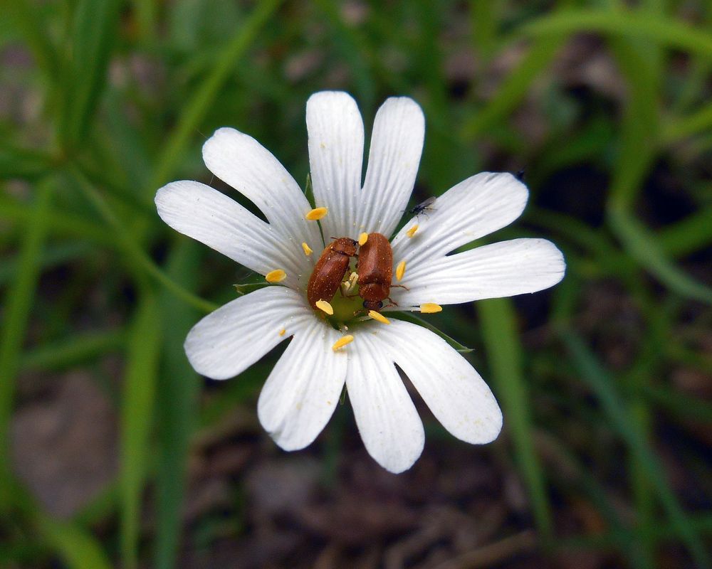 Photograph by Валерий Петухов