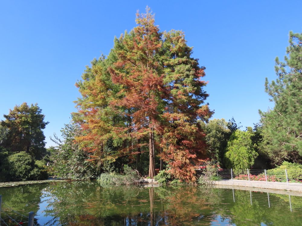 Photograph by mahboube moradalizade