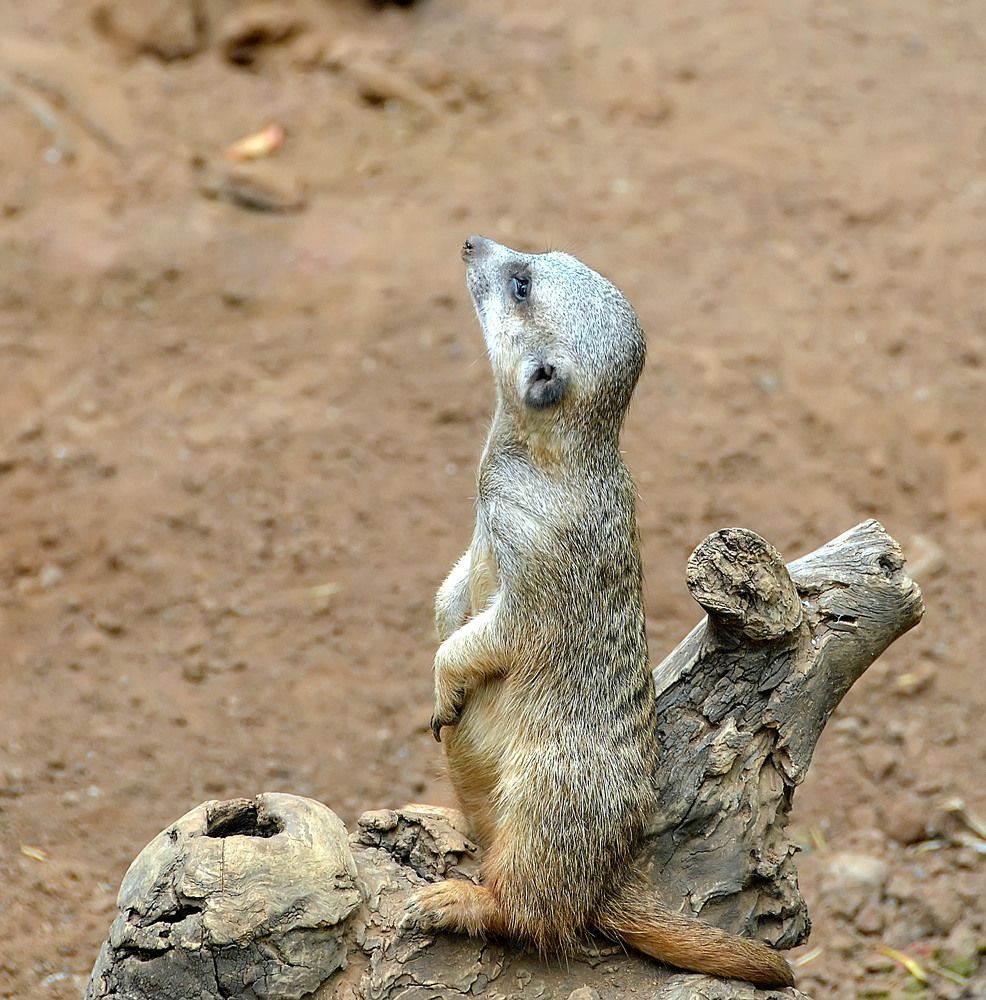 Photograph by Леонид Дрюченко