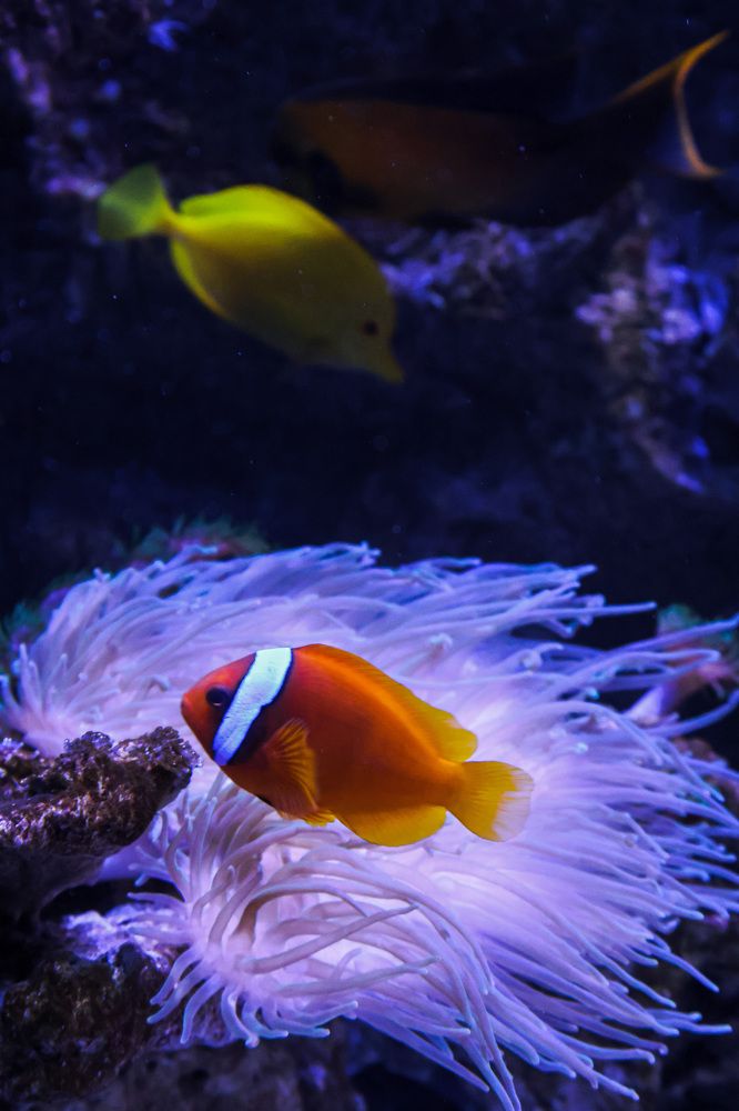 Photograph by Vera_PF