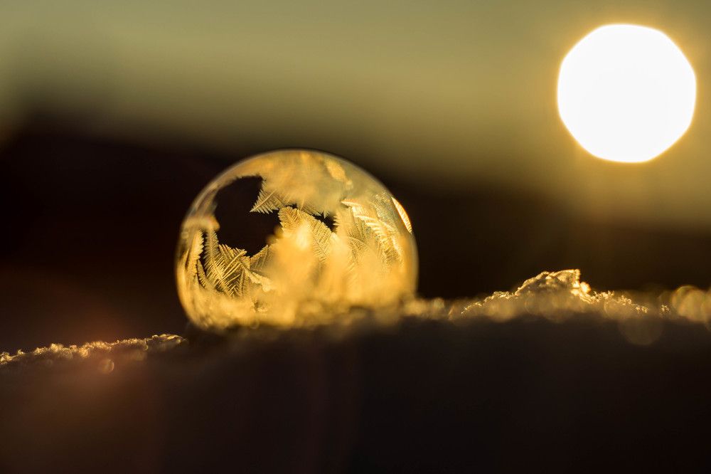 Photograph by Людмила Прибылова