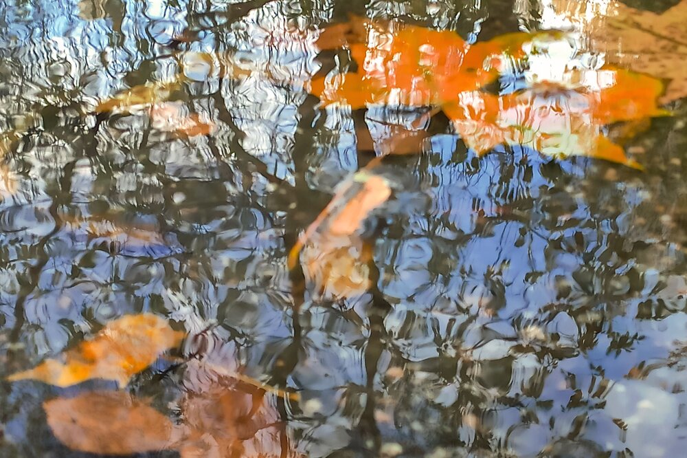 Photograph by Андрей Циликов