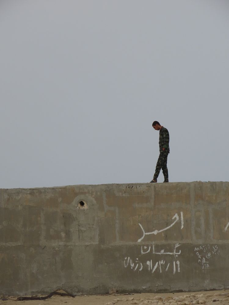 Photograph by mahboube moradalizade