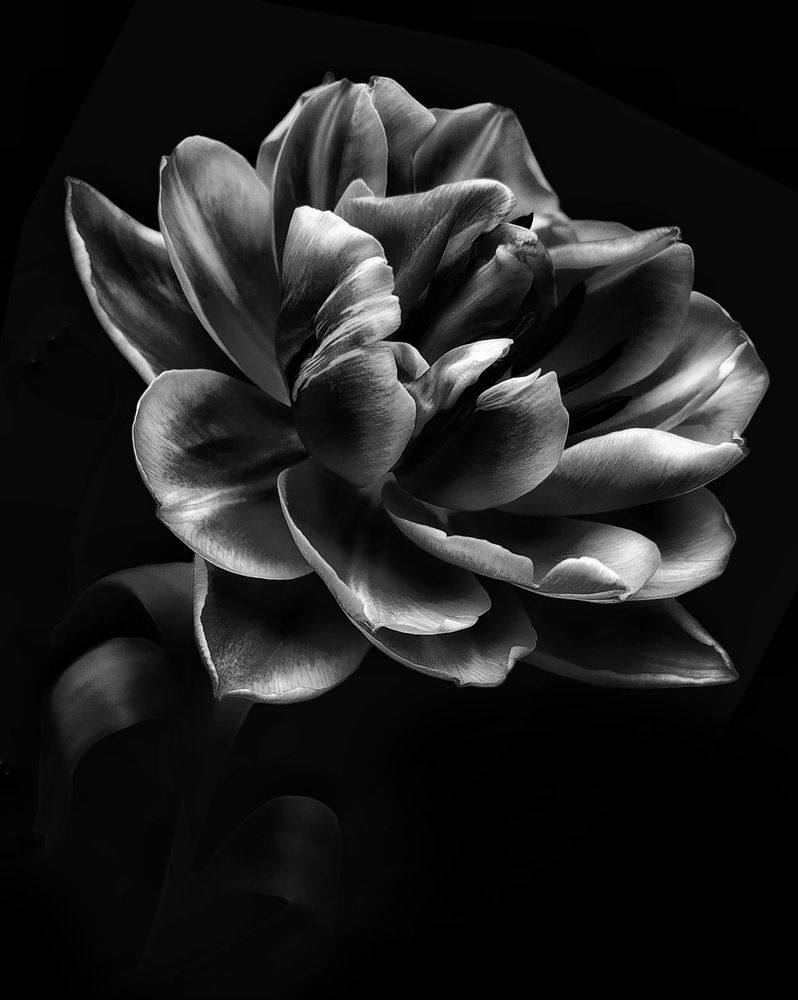 Photograph by Марина Танаева