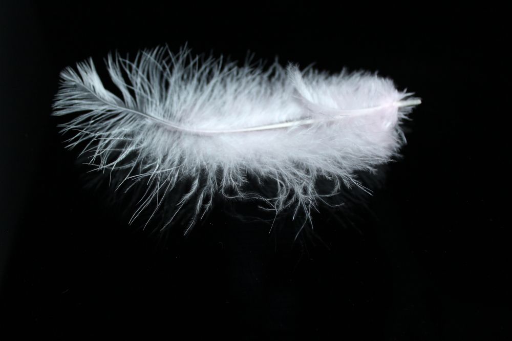 Photograph by СТЕПАН ДЖУЛАКИДЗЕ