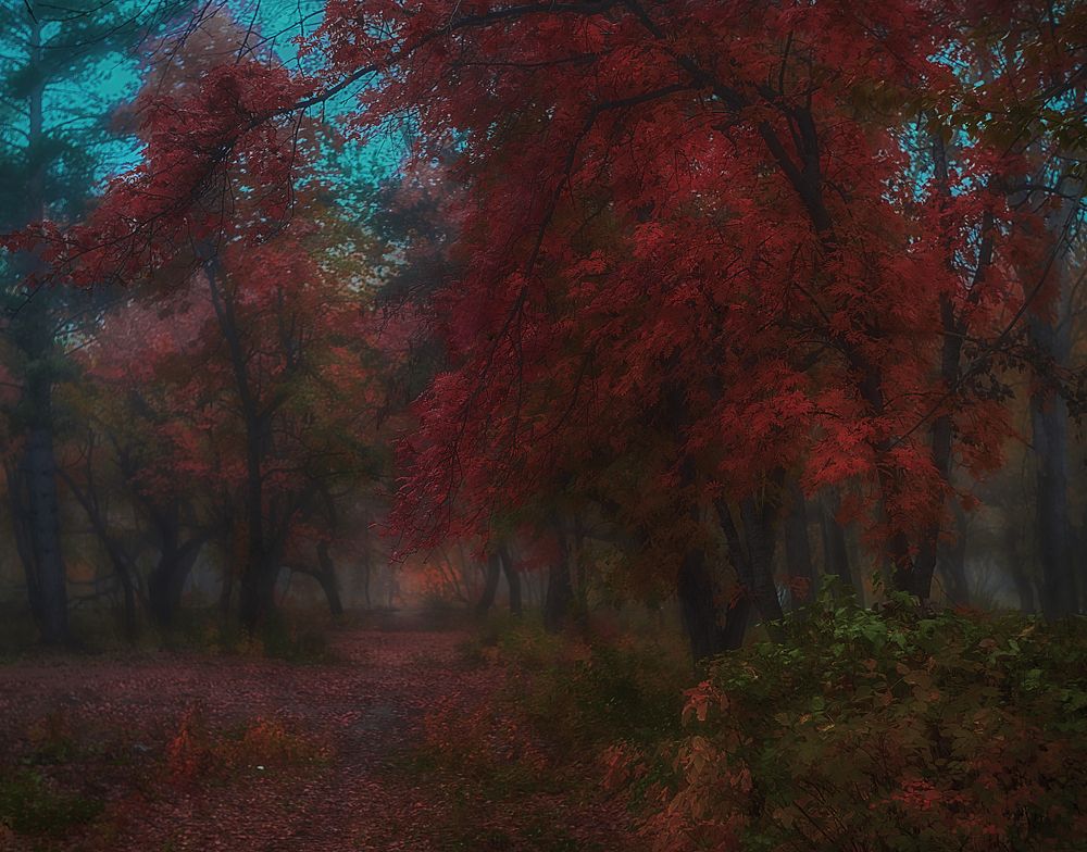 Photograph by Щербакова Юлия