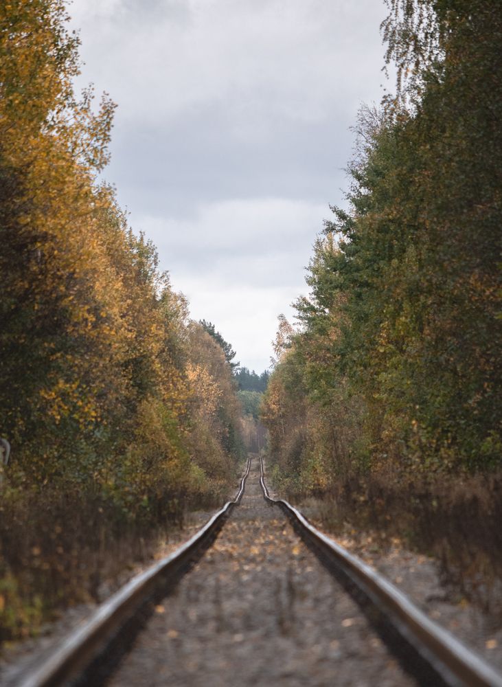 Photograph by Александр Устинов