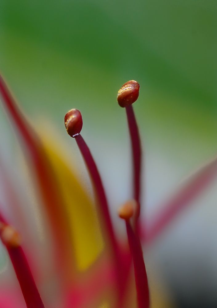Photograph by Kasun Wickramasinghe