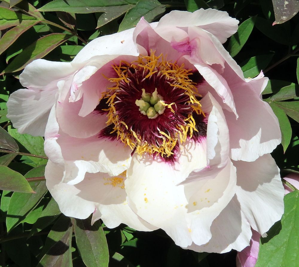 Photograph by Pjotr Alekseev