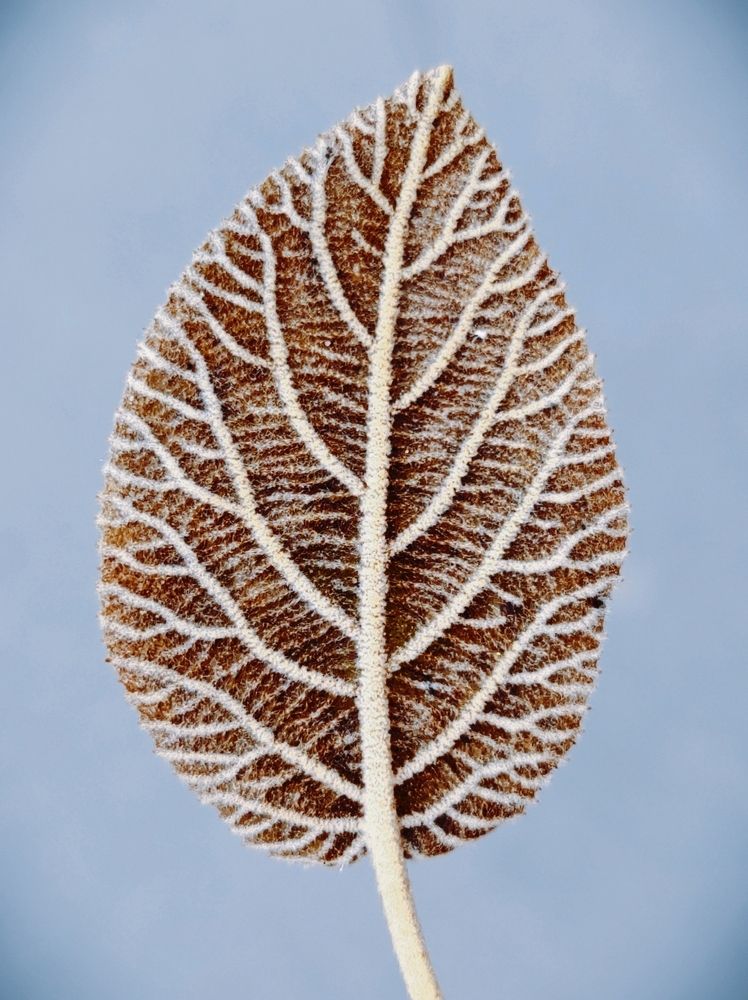 Photograph by Marina Green