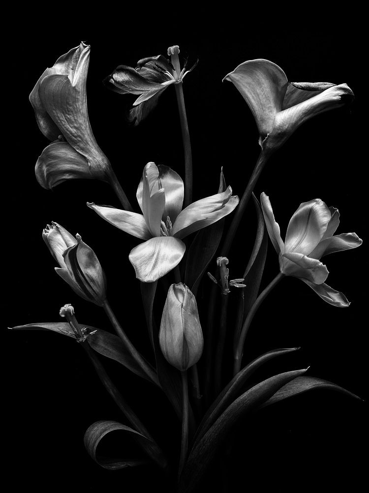 Photograph by Марина Танаева