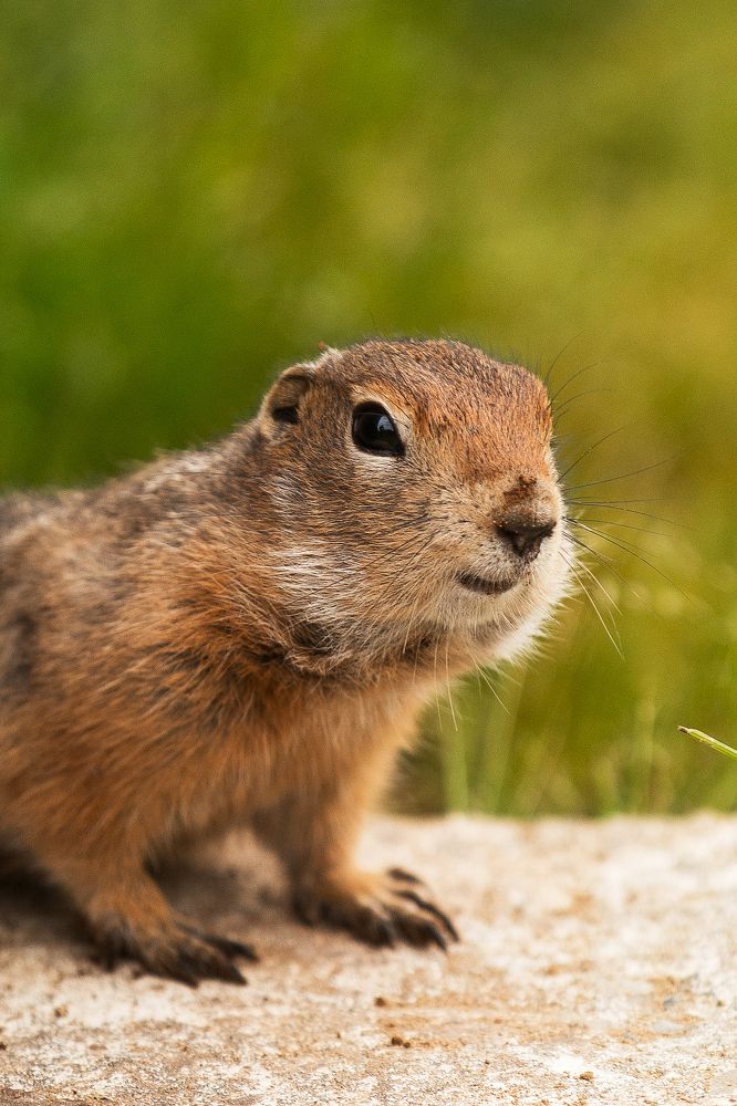 Photograph by Романова Марина