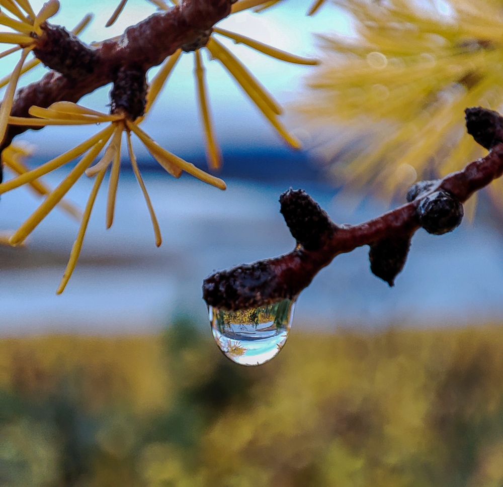 Фотография автора Александр Довганюк