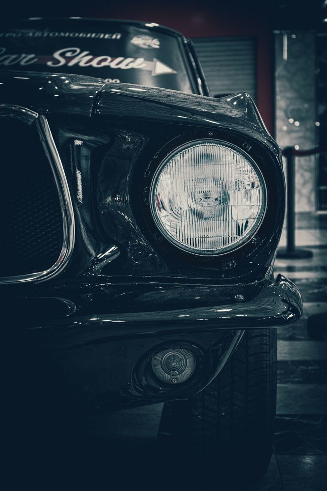 Photograph by Ilyas Kayumov