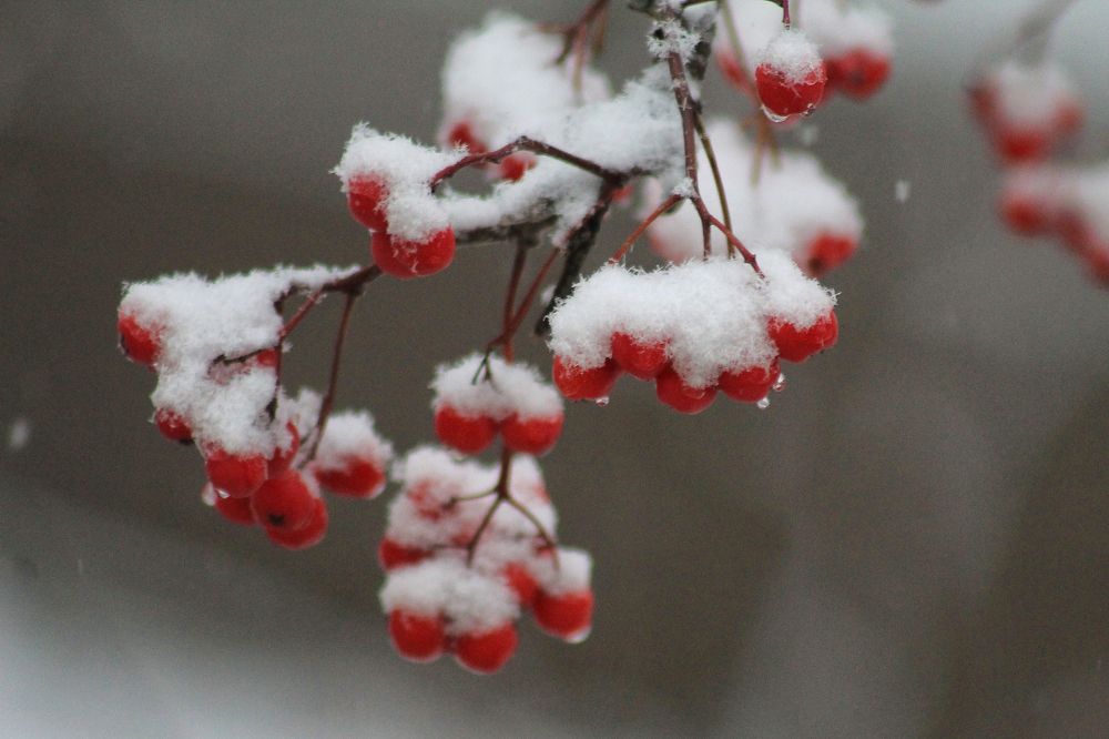 Photograph by Vitaliy Saposhnikov