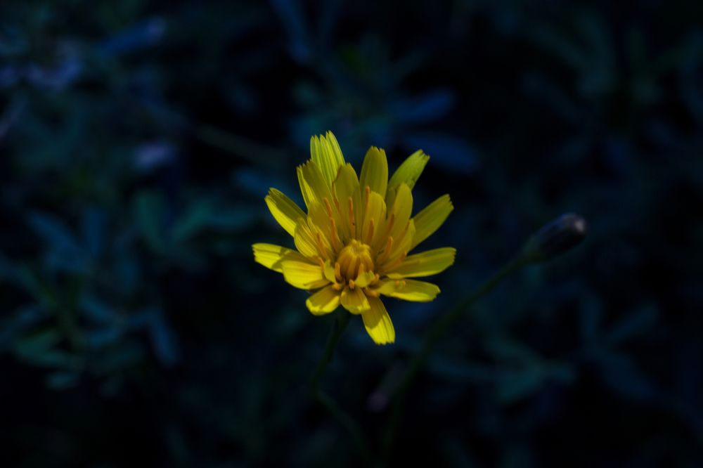 Photograph by Станислав Хаземов