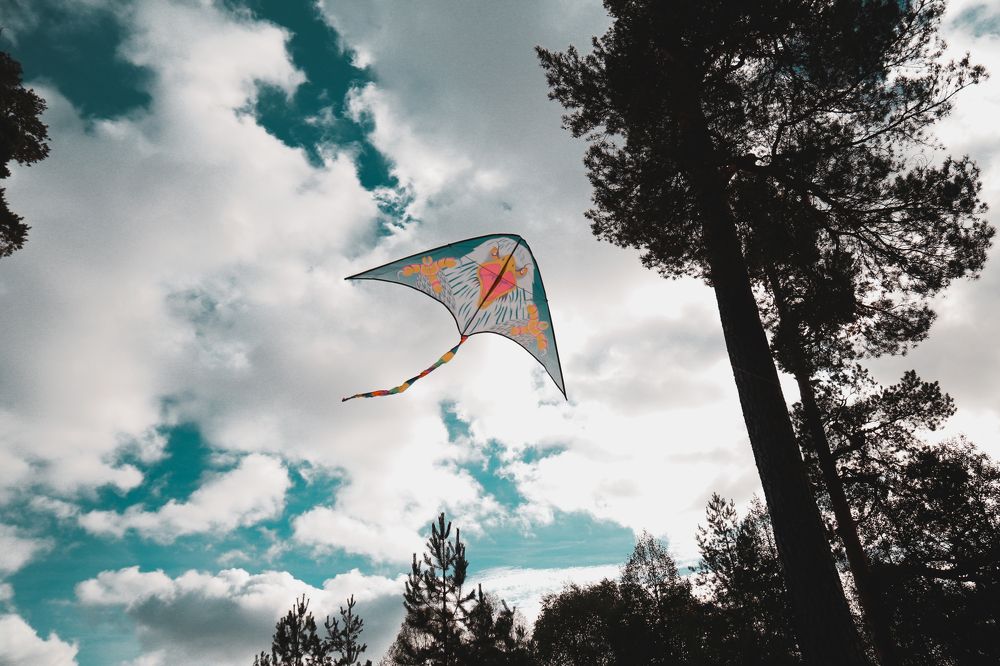 Photograph by Елена Буканина