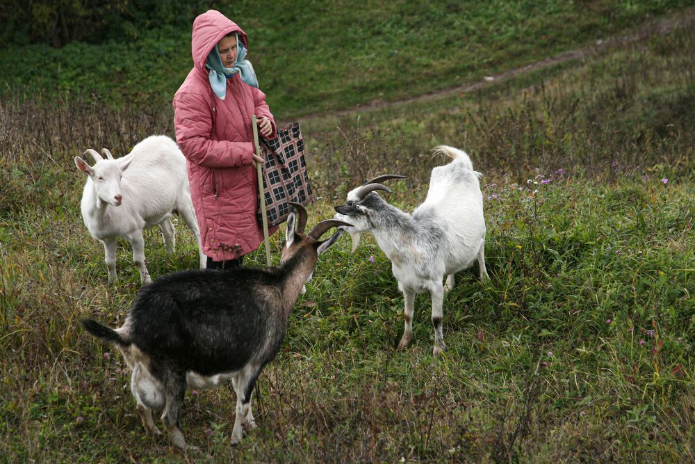 Photograph by Ирина Архипова