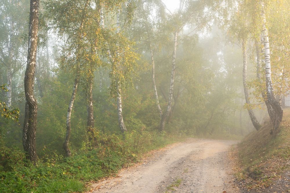 По дороге в осень