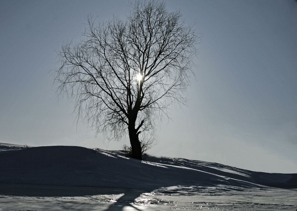 Photograph by Ирина Архипова