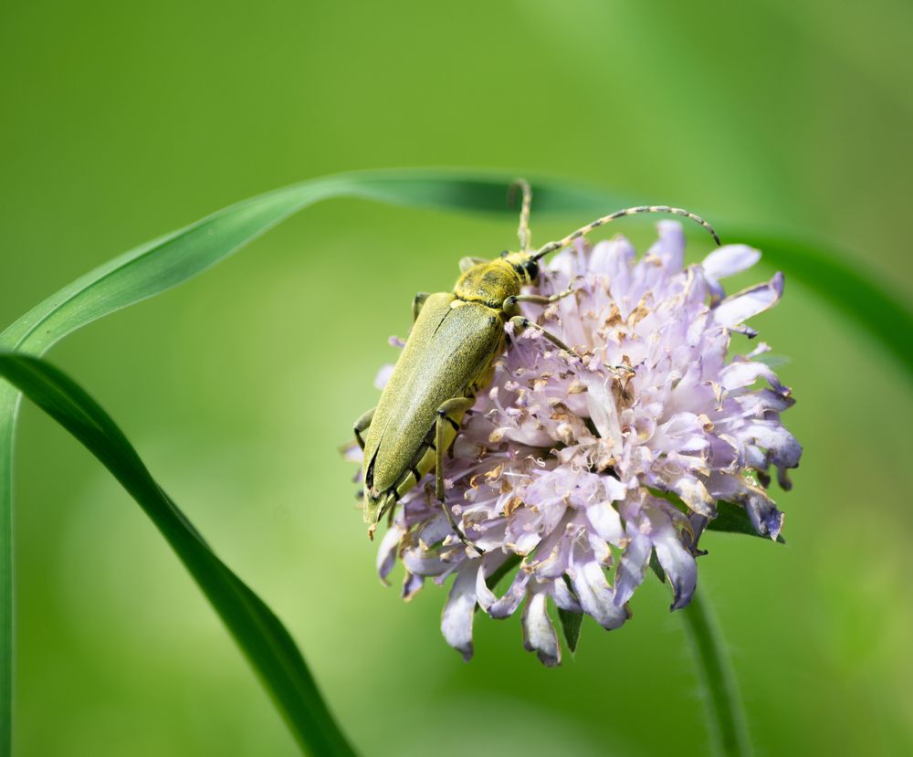 Photograph by Александр Устинов