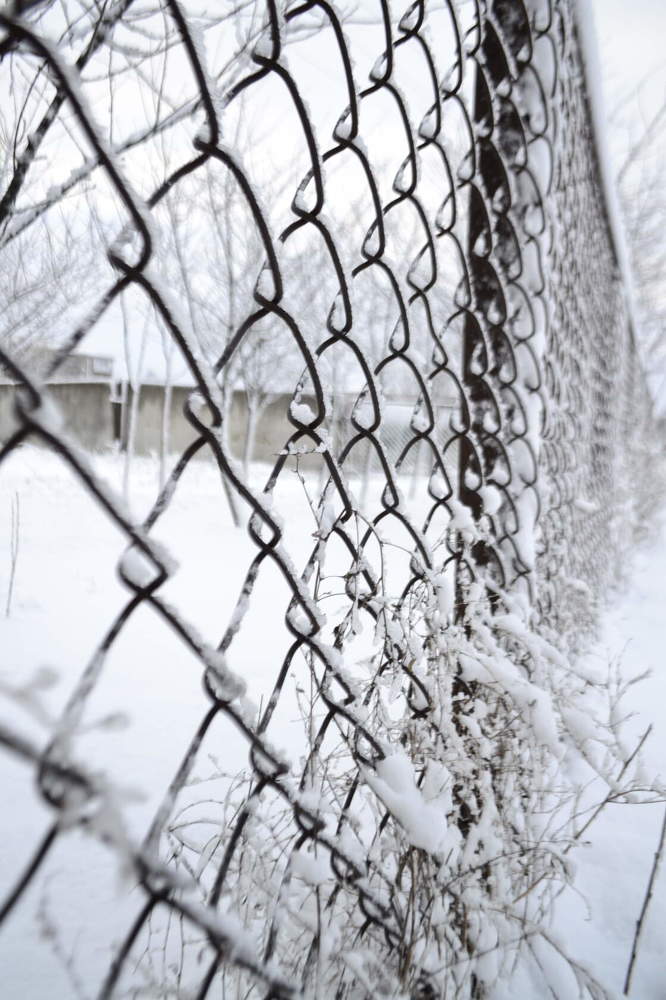 Photograph by Светлана Мазурова