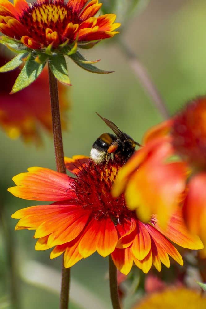 Photograph by Оксана Савенко