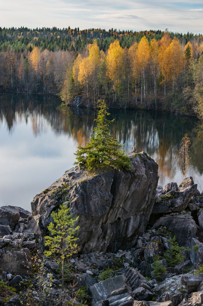 Photograph by Елена Амозова