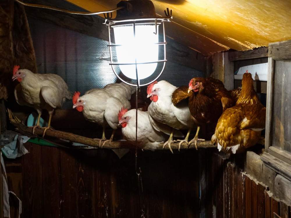 Photograph by Анжелика Трошина