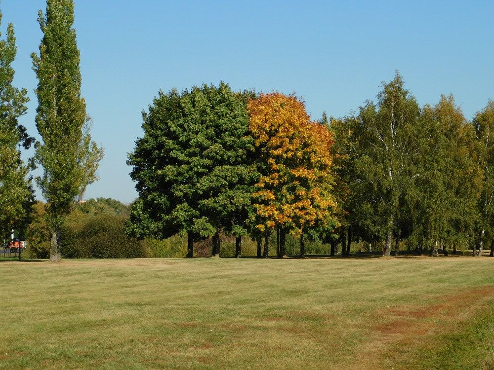 Photograph by Татьяна