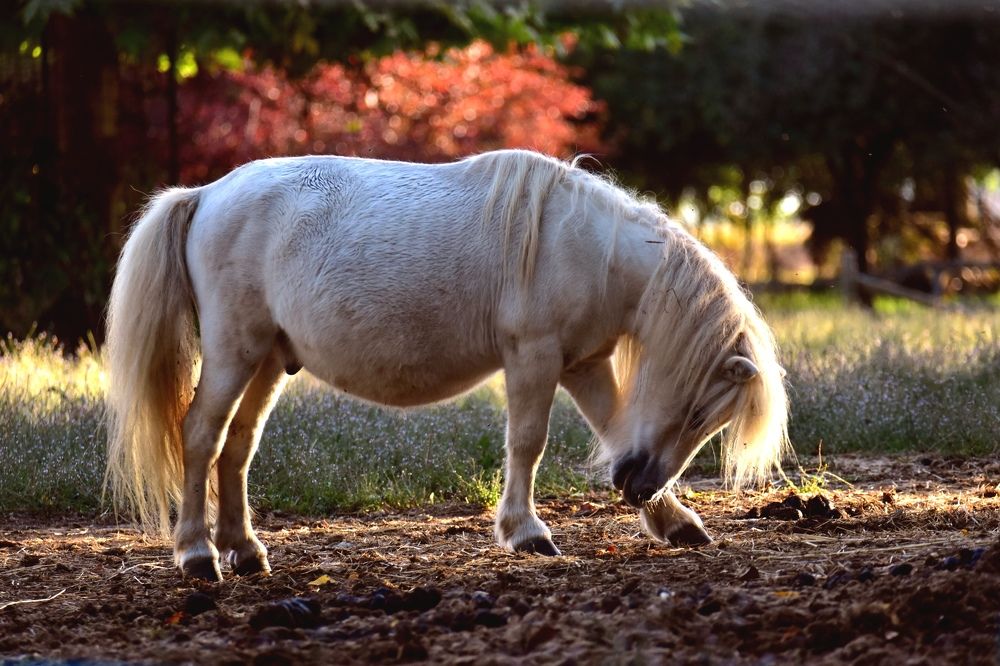 Photograph by Никуличева Екатерина