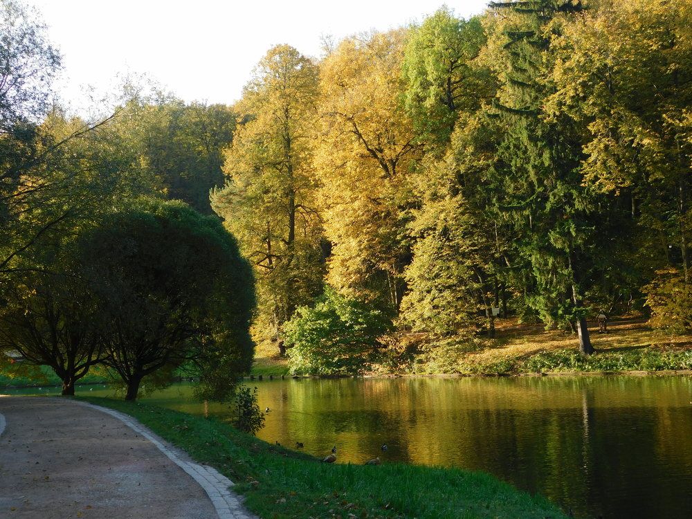 Photograph by Татьяна