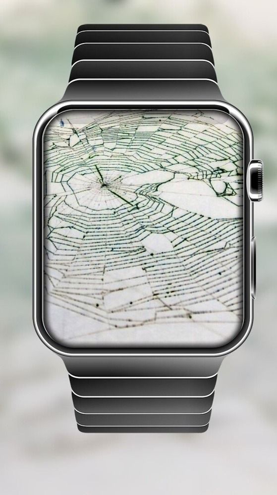 Photograph by Marina Eremin