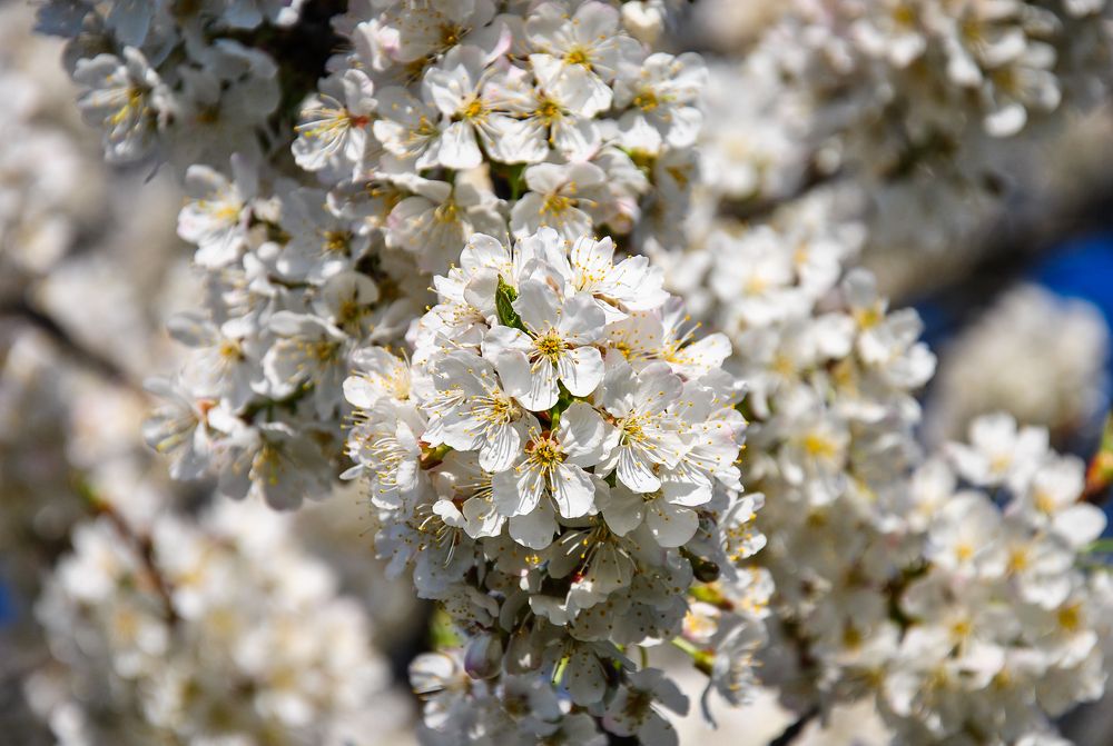 Photograph by Дима Токарев