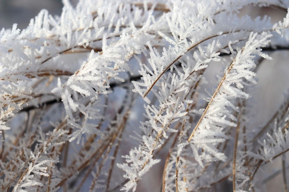 Photograph by Нина Чугунова