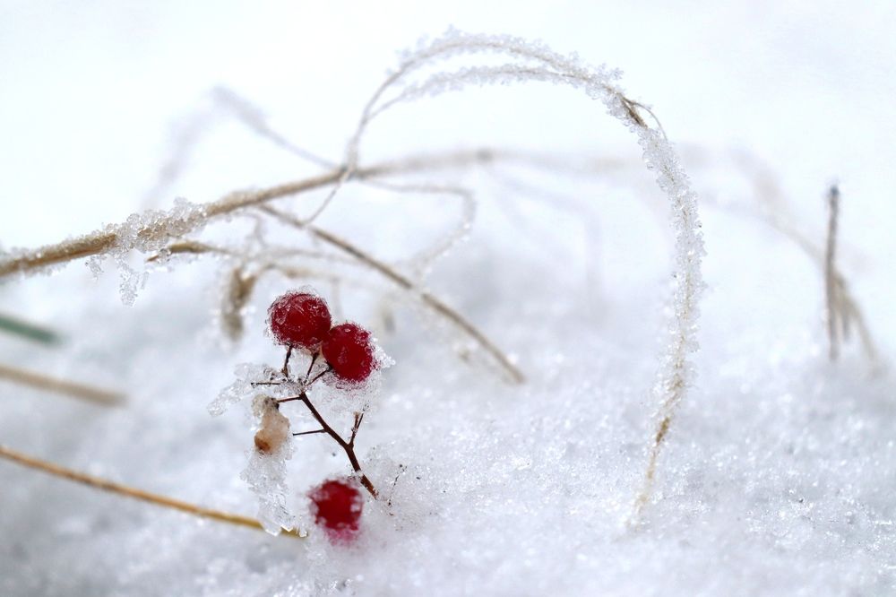 Photograph by Нина Чугунова