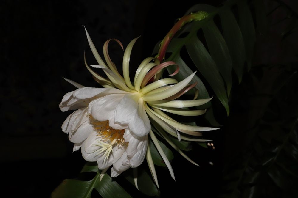 Photograph by Нина Чугунова