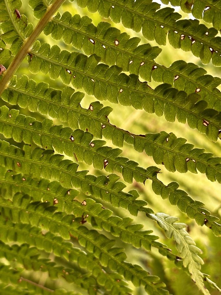 Photograph by Наталья S.