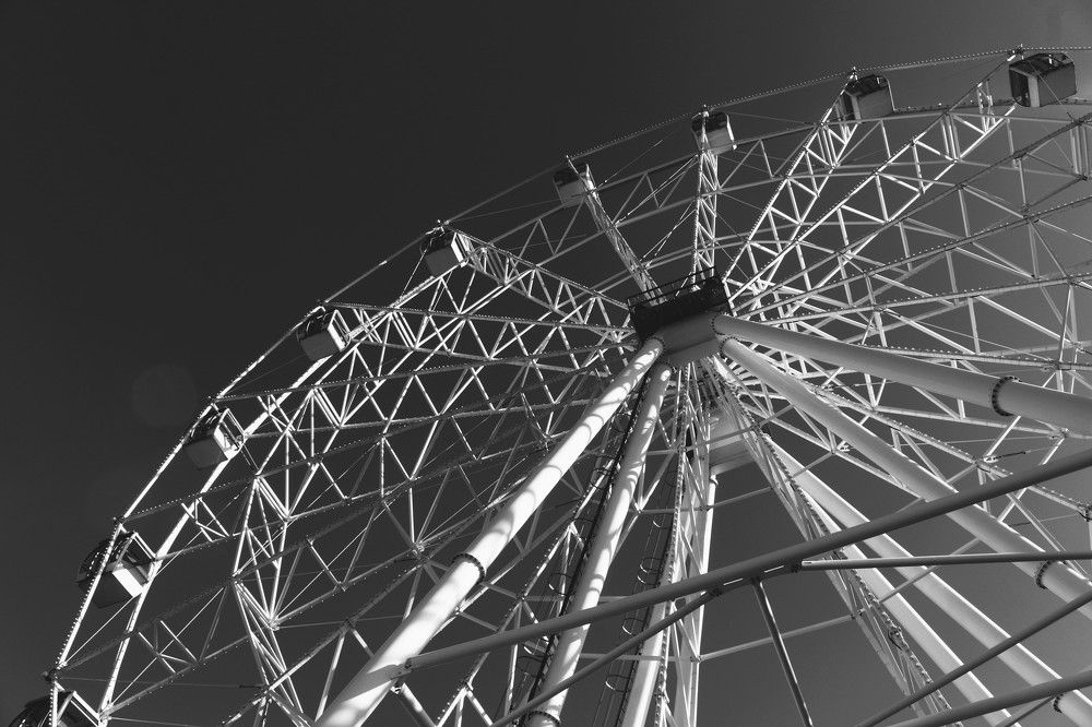 Photograph by Софья Белоногова