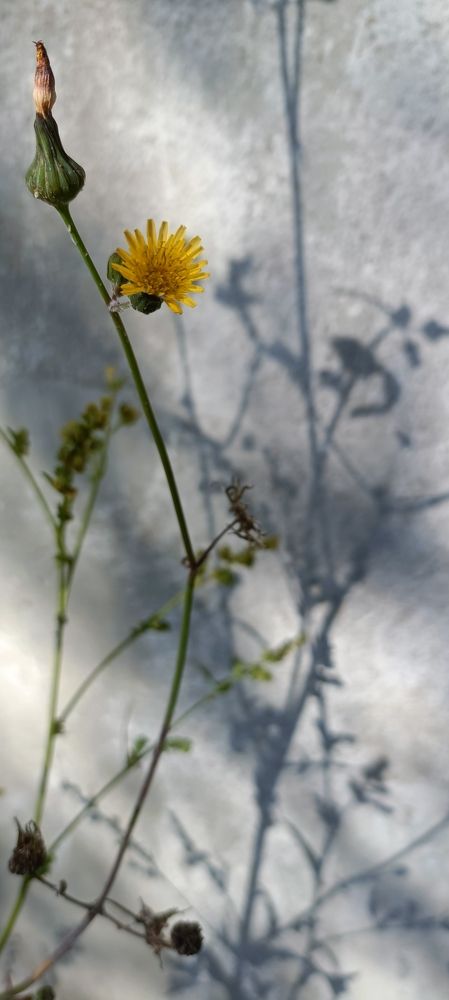 Photograph by Лидия